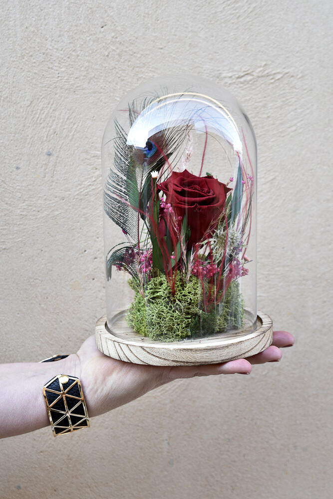 Cloche verre Rose rouge stabilisée
