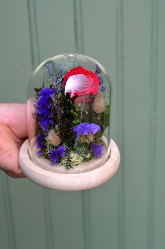 Cloche verre Rose rouge stabilisée