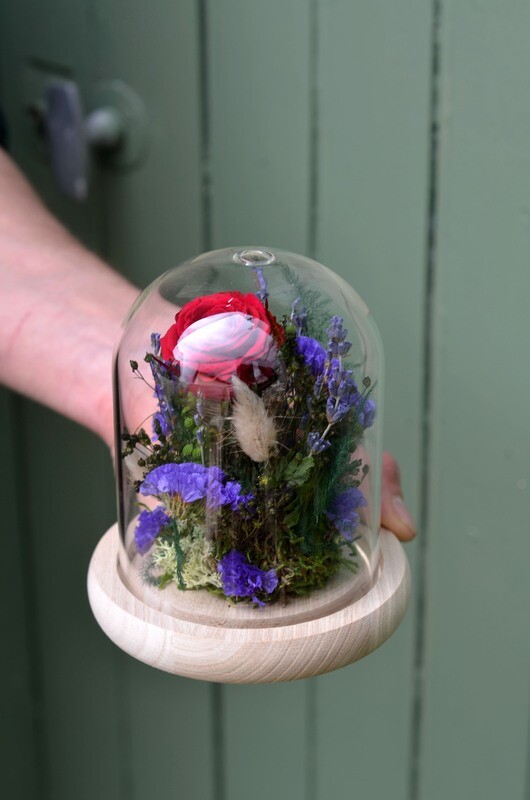 Cloche verre Rose rouge stabilisée