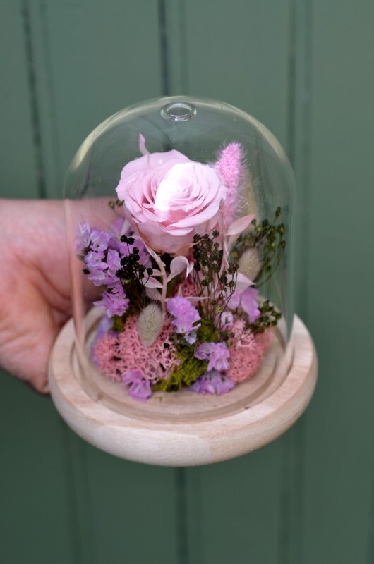 Cloche verre Rose rose tendre stabilisée