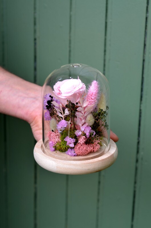 Cloche verre Rose rose tendre stabilisée