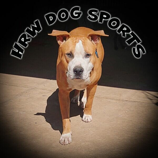 HRW Dog Sports