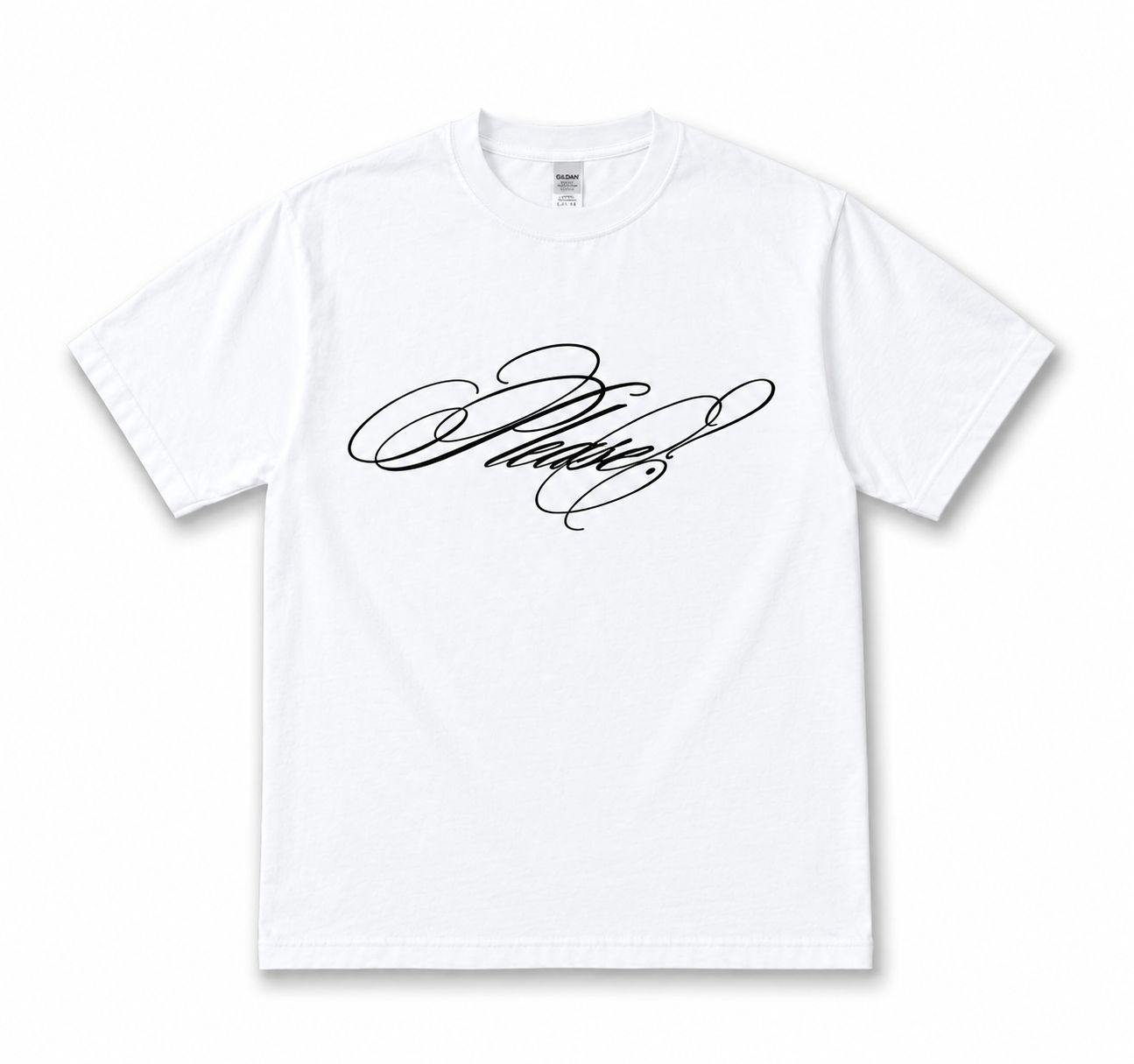 PLEASE? T - SHIRT