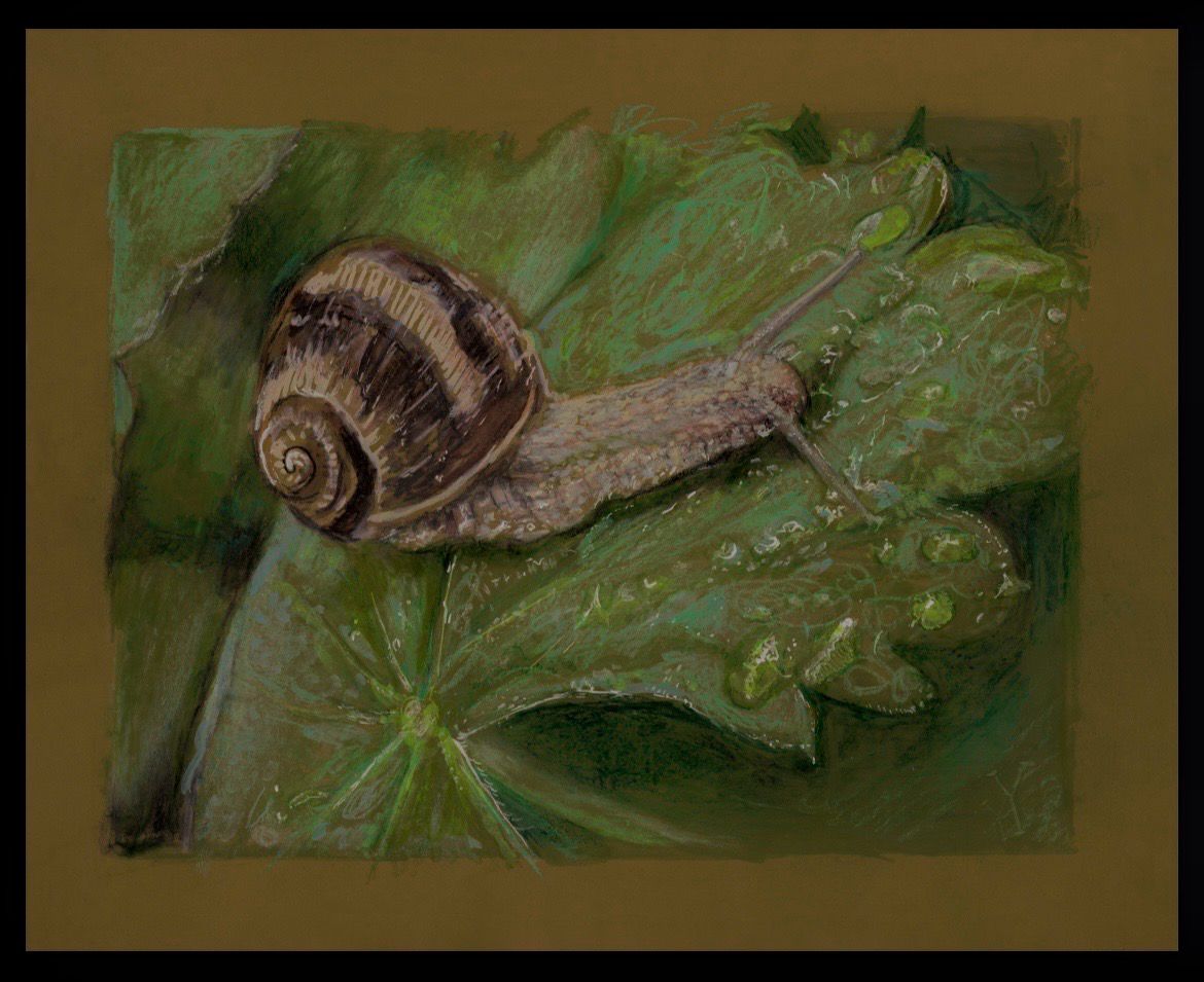 8” x 10” Print - Snail