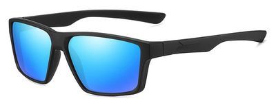 $24.99 Polarized