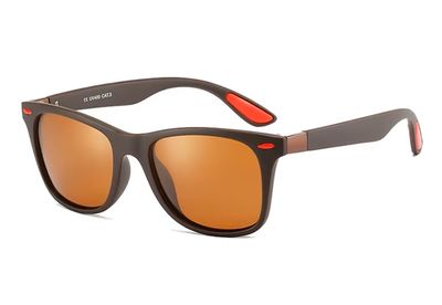 Classic Polarized Wayfarer - Brown