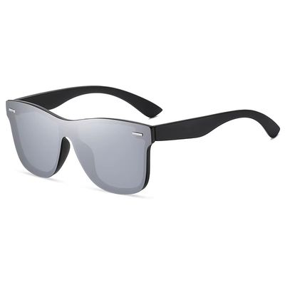New Polarized Wayfarer - Silver