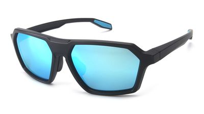 $40  Polarized Assortment