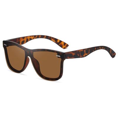 New Polarized Wayfarer