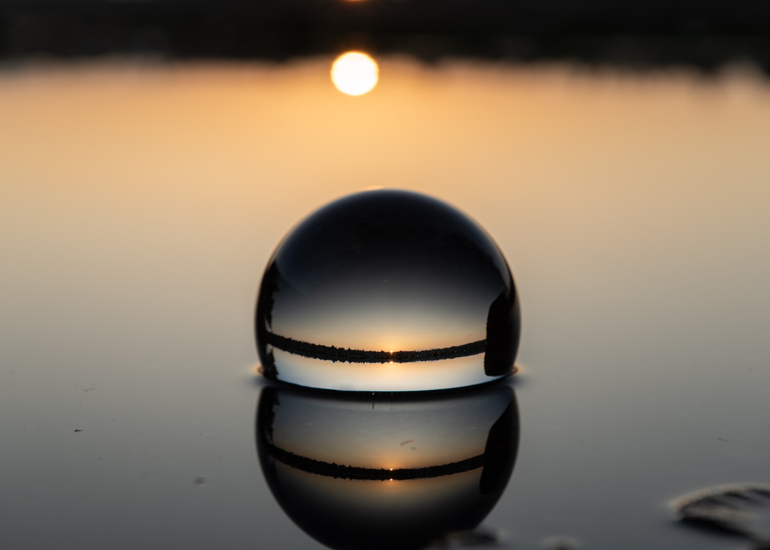In The Lake