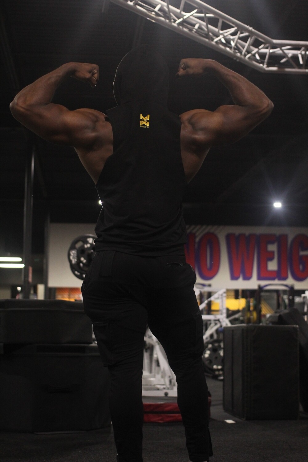Alpha Sleeveless Hoodie