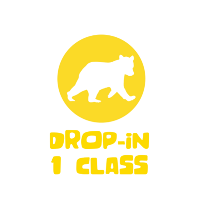 Drop In Classes