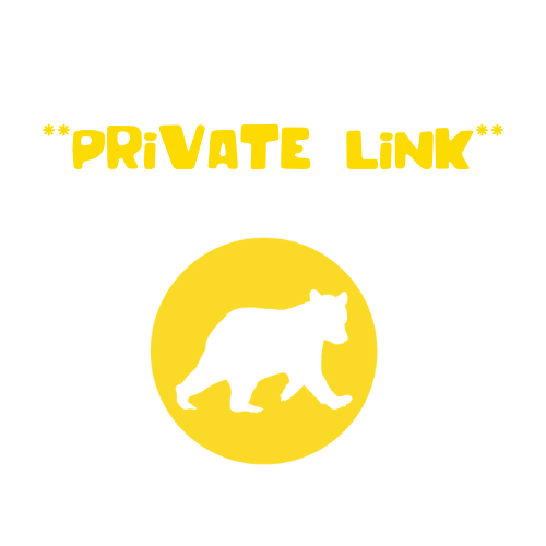 Private Link