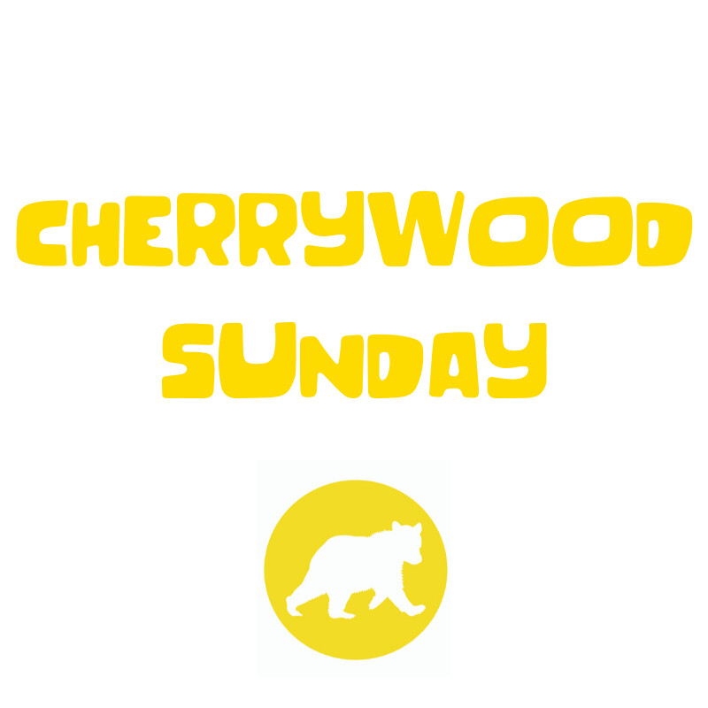 2:00pm Toddler Cubs Stage 1 (ages 1.5-3.5 yrs) - Sundays -Cherrywood- Summer Term - May to July 2024 - 11 week term