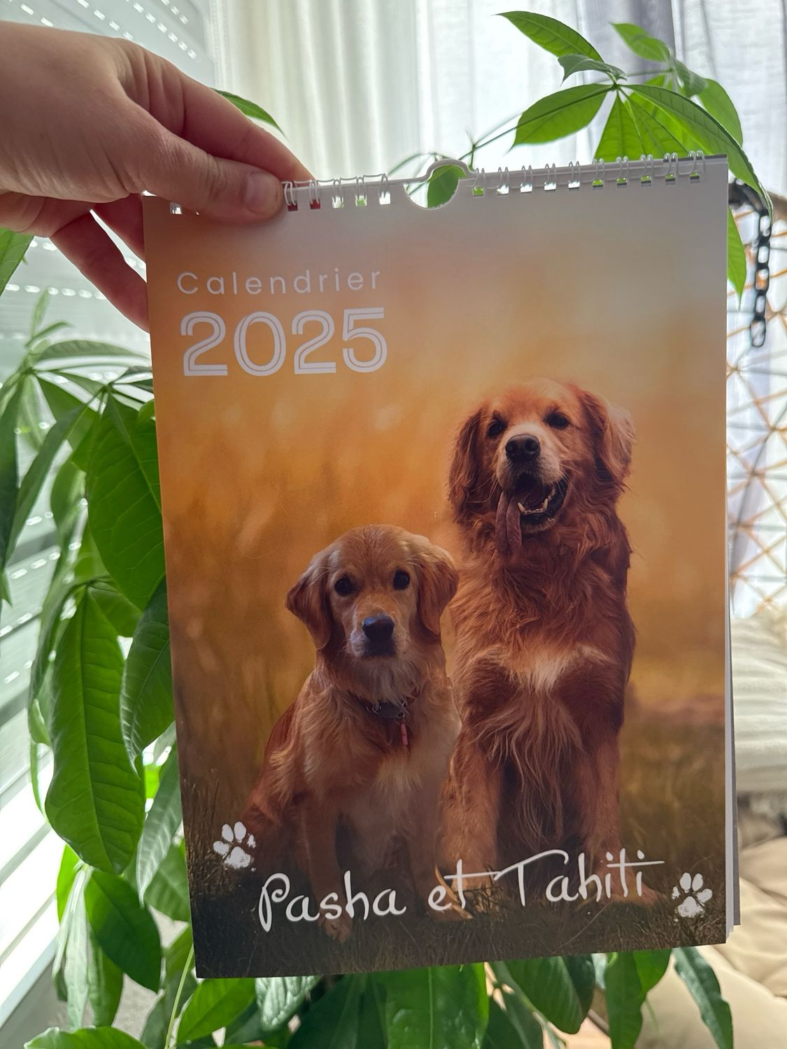 Calendrier 2025
