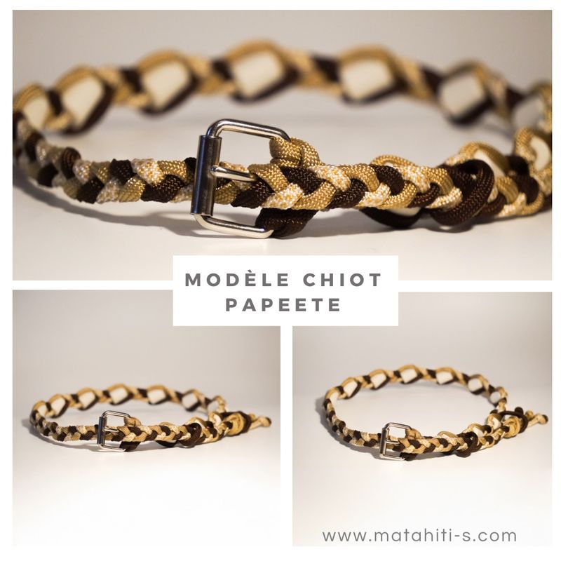 Modèle Papeete pour CHIOT (uniquement) - évolutif