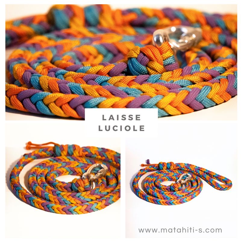 Laisse mousqueton modèle «&nbsp;Luciole&nbsp;»