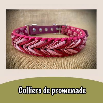 Colliers de promenade