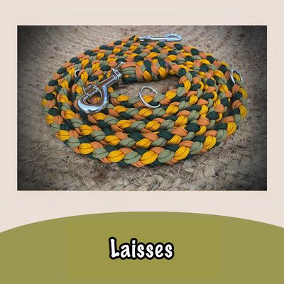 Laisses