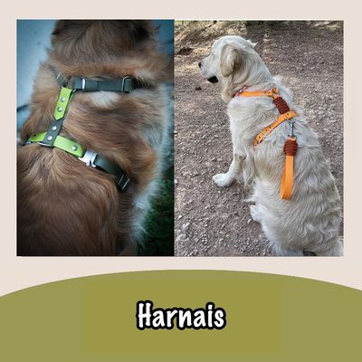 Harnais