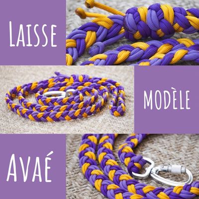 Laisse modèle «&nbsp;Avaé »