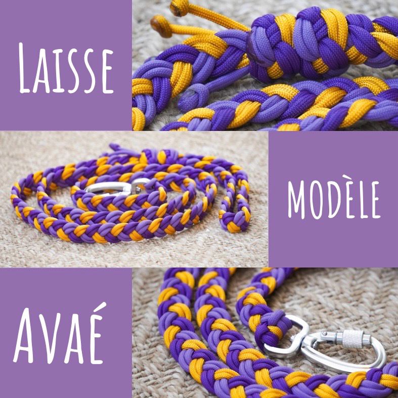 Laisse modèle «&nbsp;Avaé »