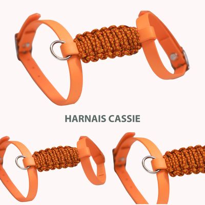 Harnais Cassie