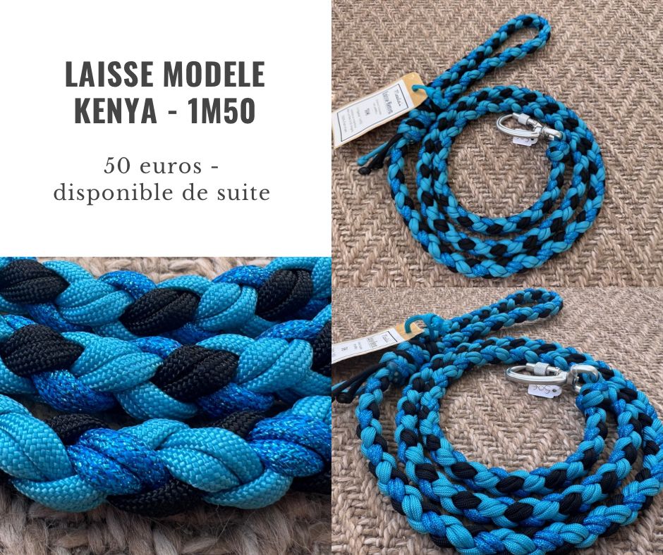 Laisse Kenya bleu - 1m50