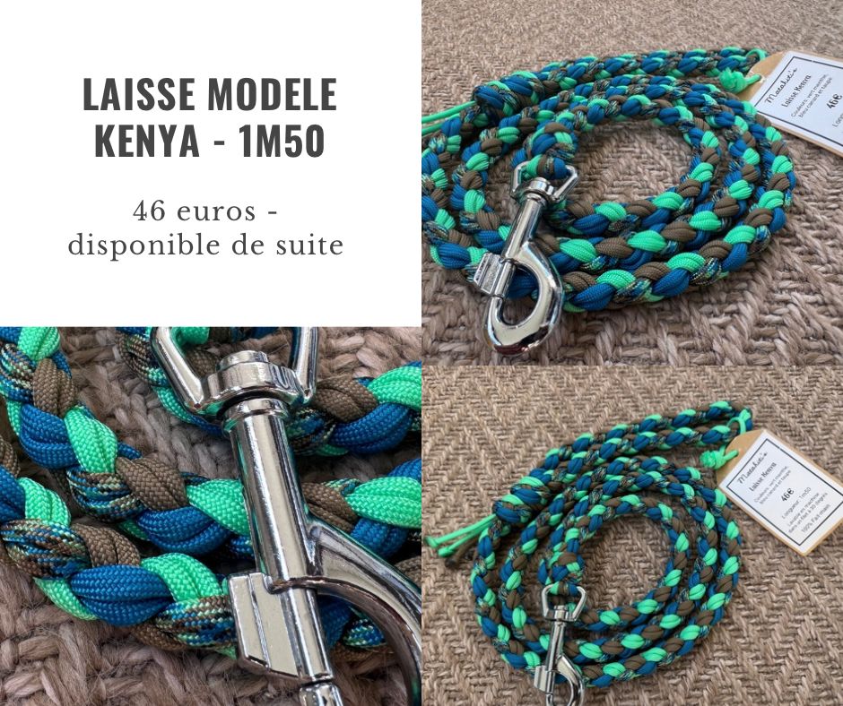 Laisse Kenya bleu - 1m50