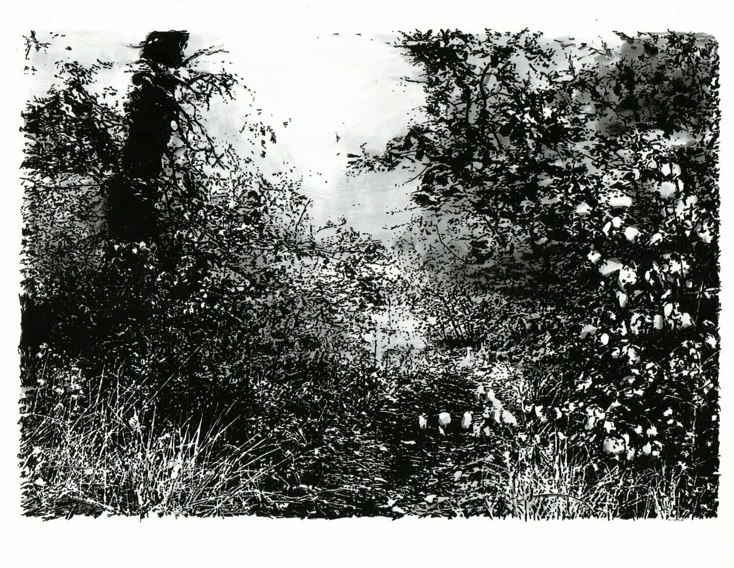 Ottersbach, Heribert C.