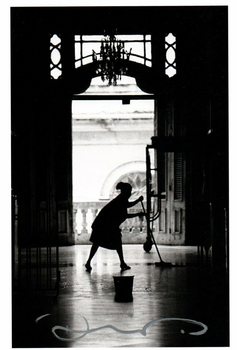 Wenders, Donata