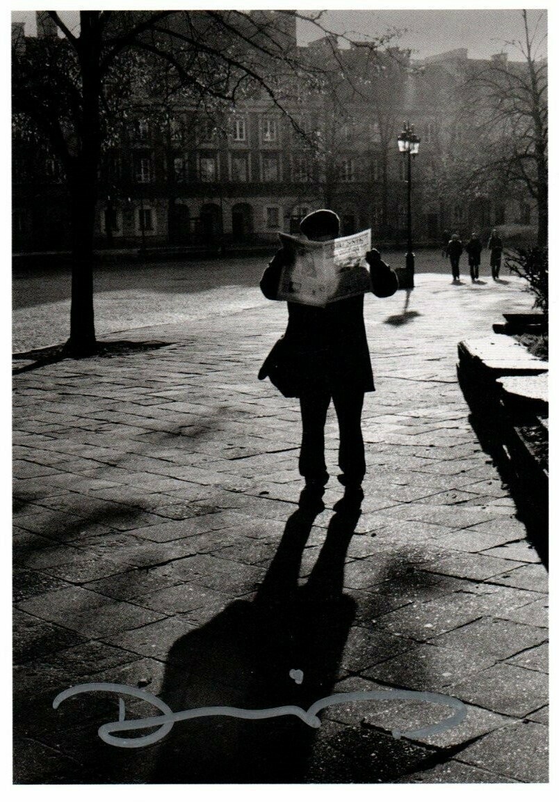 Wenders, Donata