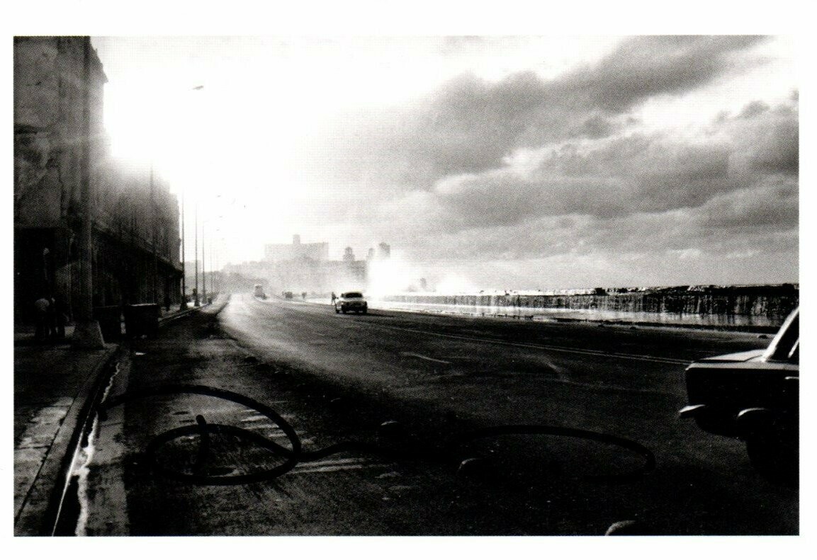 Wenders, Donata