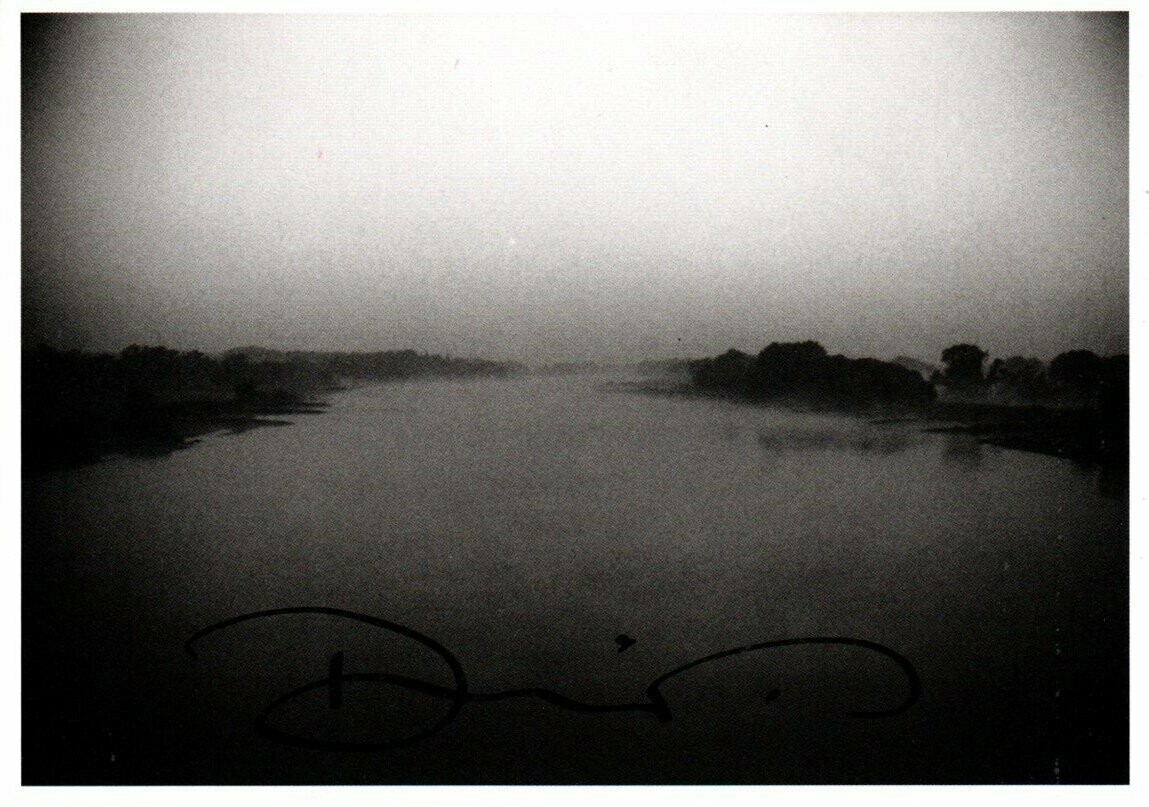 Wenders, Donata