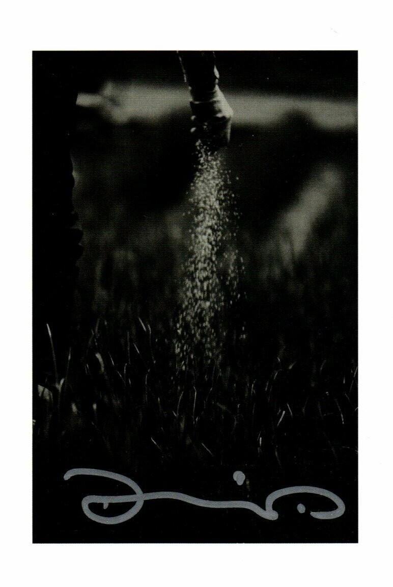 Wenders, Donata