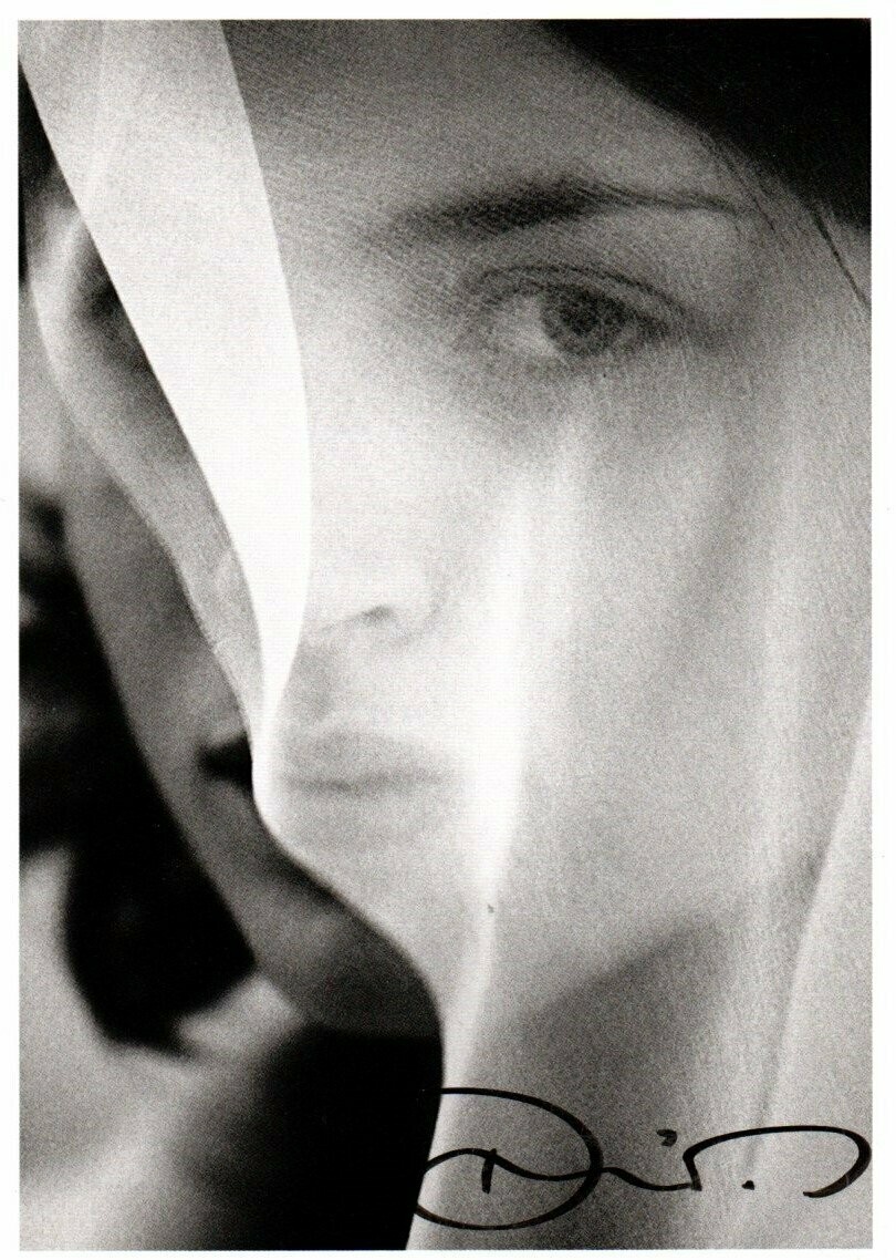 Wenders, Donata