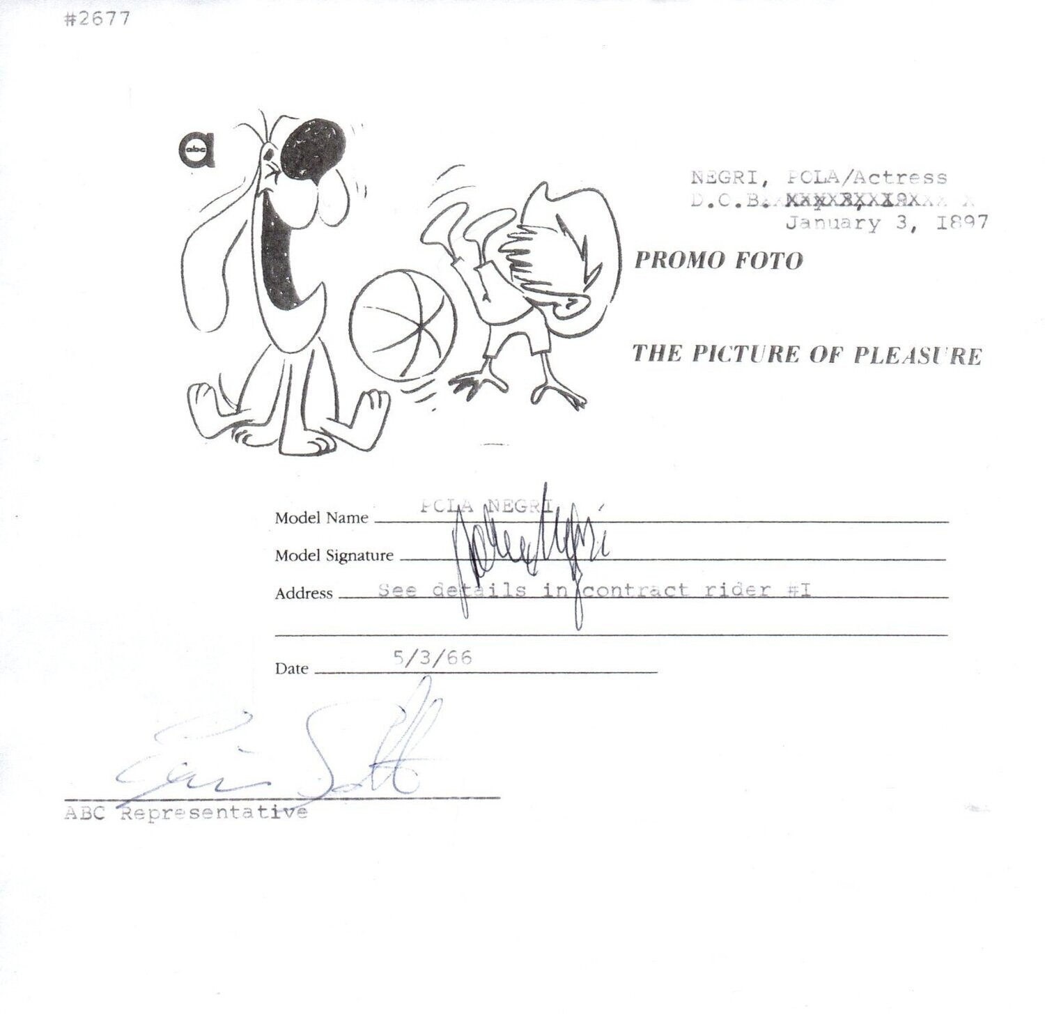 Negri, Pola