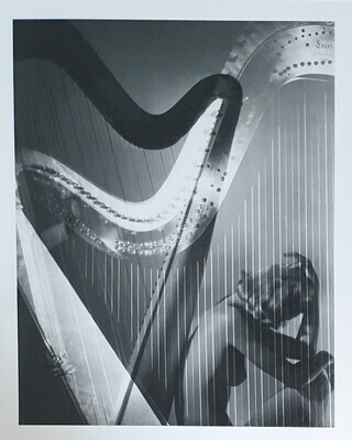 Horst, P. Horst