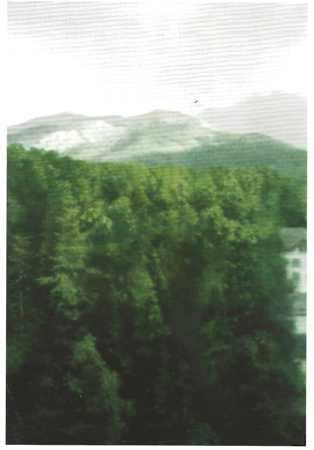 Richter, Gerhard