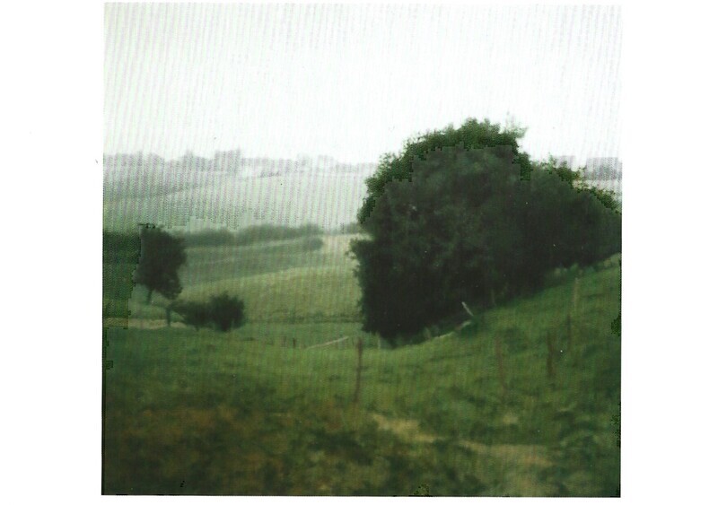 Richter, Gerhard