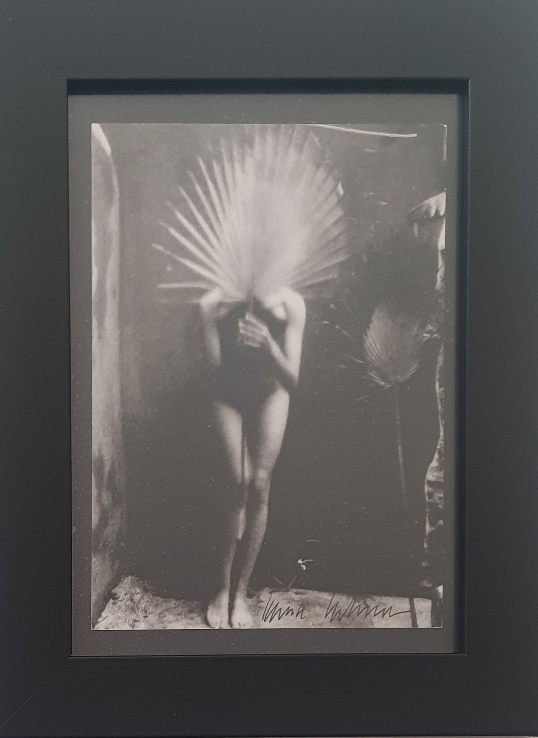 Székessy, Karin