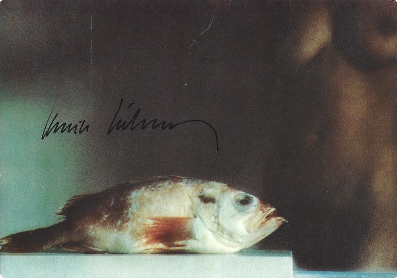Székessy, Karin