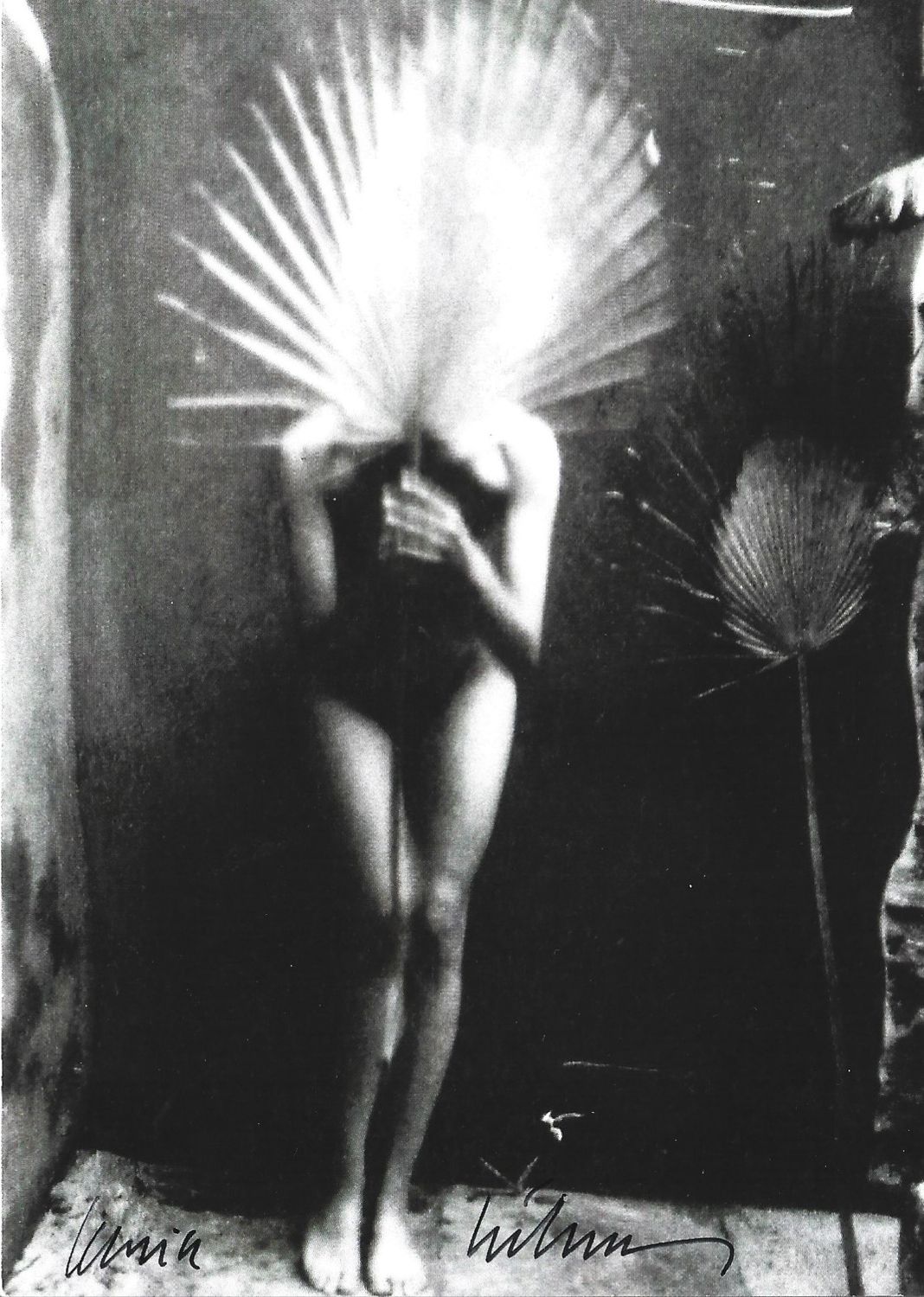 Székessy, Karin