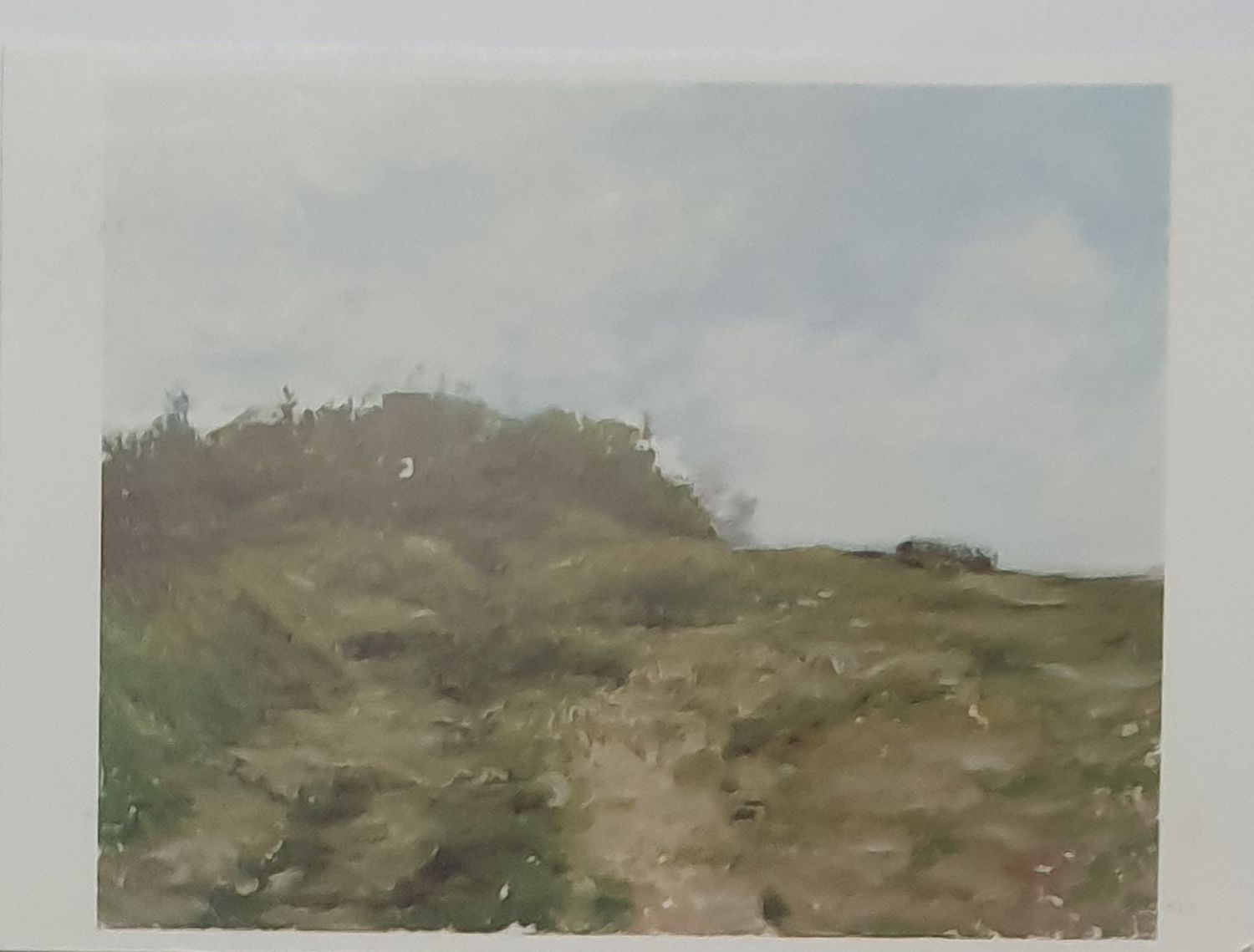 Kohl, Thomas Kohl, Thomas