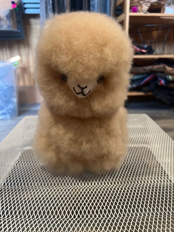 Premium Standing Alpaca