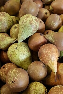 Poires Conférences/Comices /kg Poires Conférences/Comices /kg