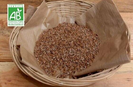 Graines de Lin Bio /Kg