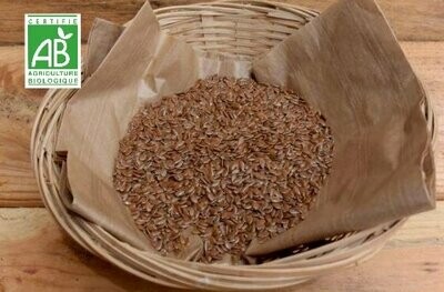 Graines de Lin Bio /Kg
