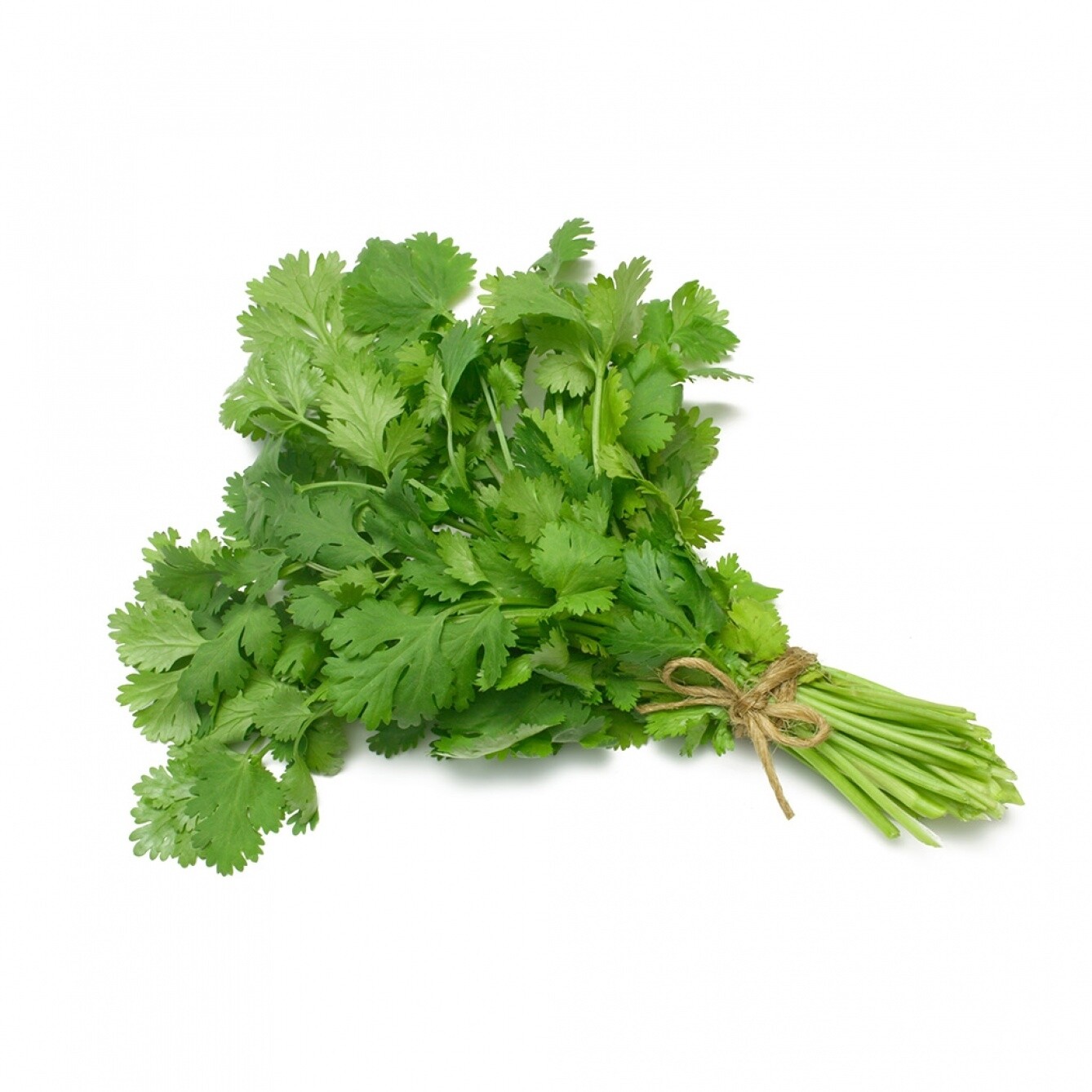 Coriandre (bouquet)