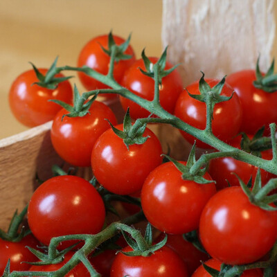 Tomates cerises 250g
